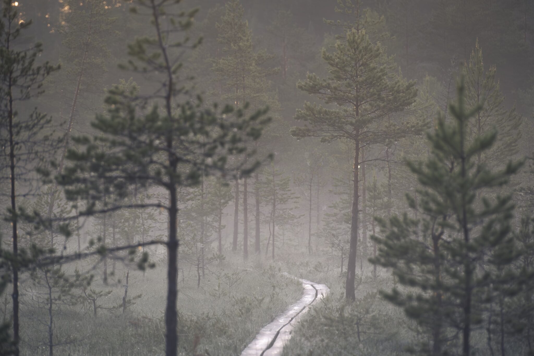 Hiking trails in Lappeenranta region