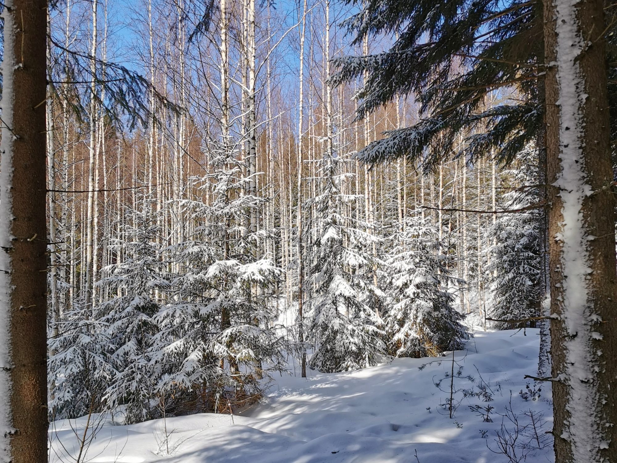 Orrainpolku trail in winter