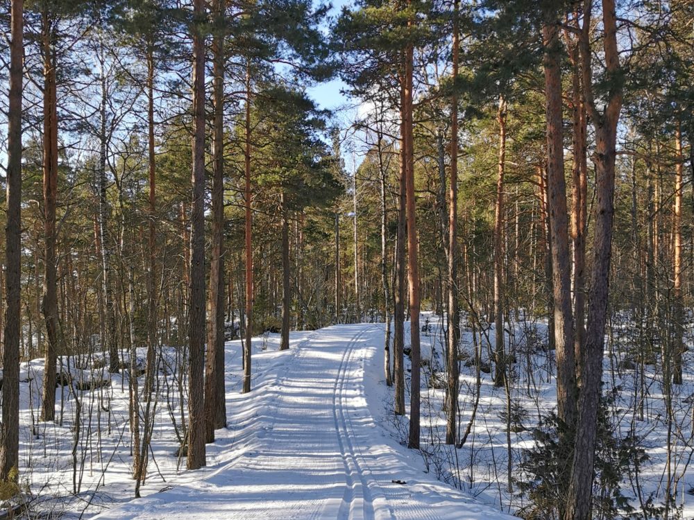 Pappilanniemi walking trail in winter