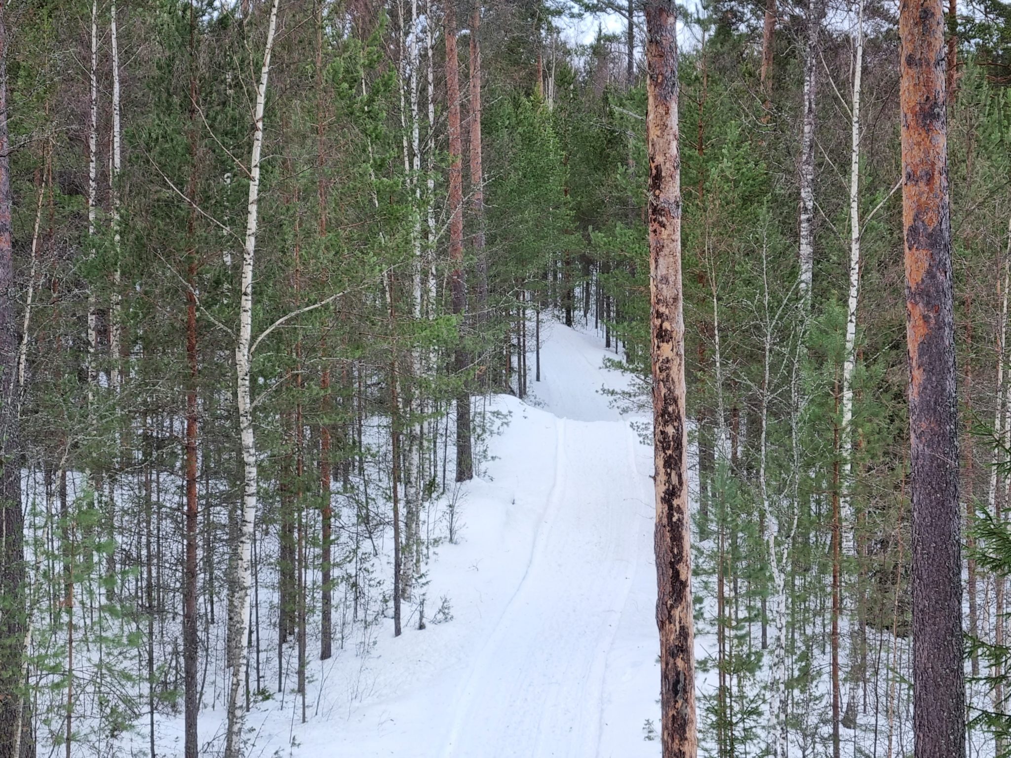 Holidays by Lake Saimaa, Lappeenranta and Imatra region