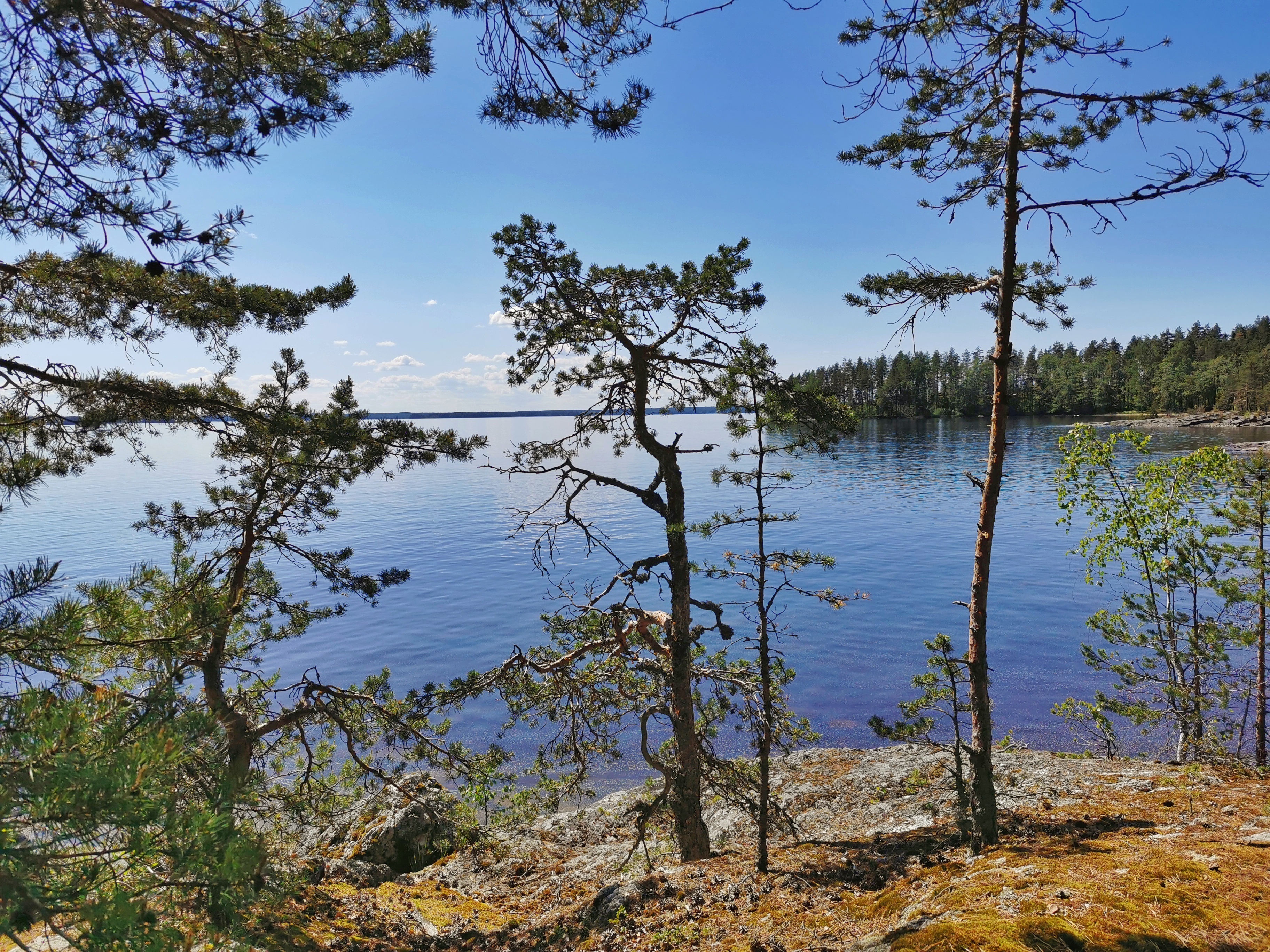 Mikonsaari - Luontokohteet Saimaalla, Imatra ja Lappeenranta - GoSaimaa