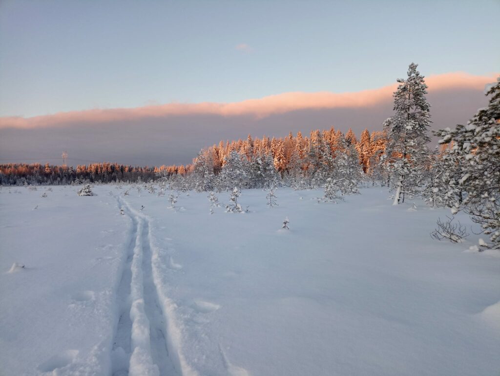 Things to do at Lake Saimaa region in Lappeenranta and Imatra region