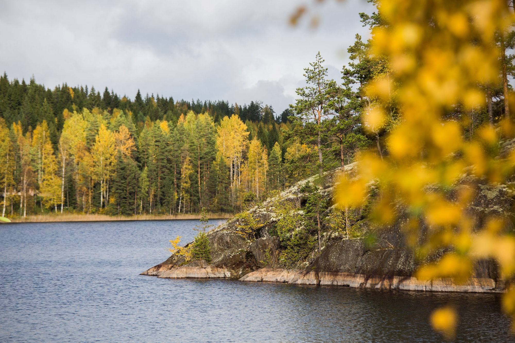 Herbst am Saimaa-See, Finnland