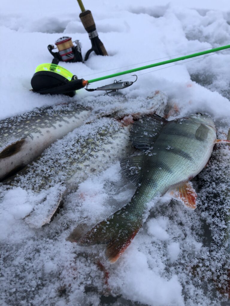 Winter fishing on the frozen Lake Saimaa