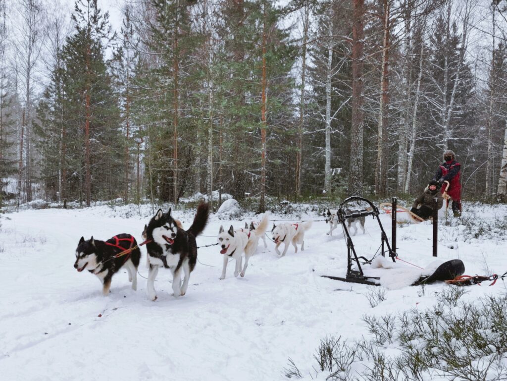 Winterurlaub in Finnland, in der Region Saimaa-See