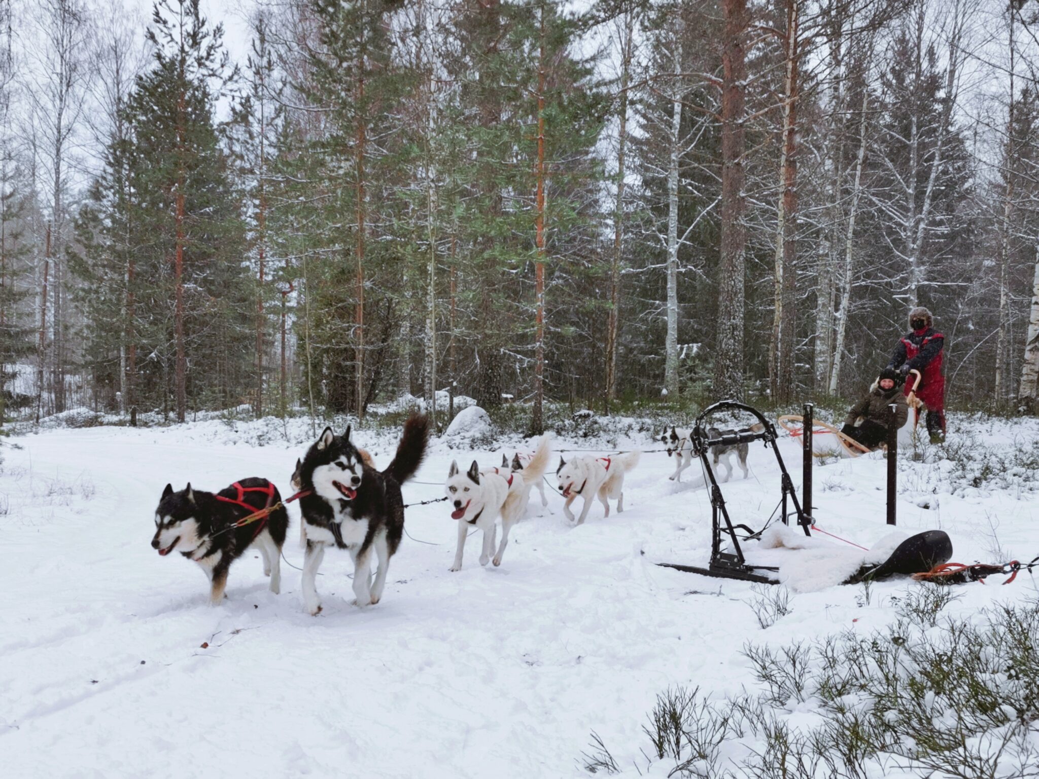 Talviloma Saimaalla, Lappeenrannan ja Imatran seudulla