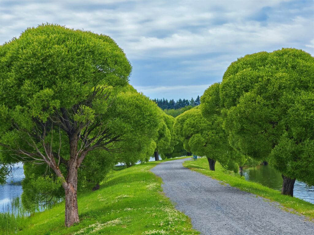 Mellonlahti Natutre Trail in Imatra