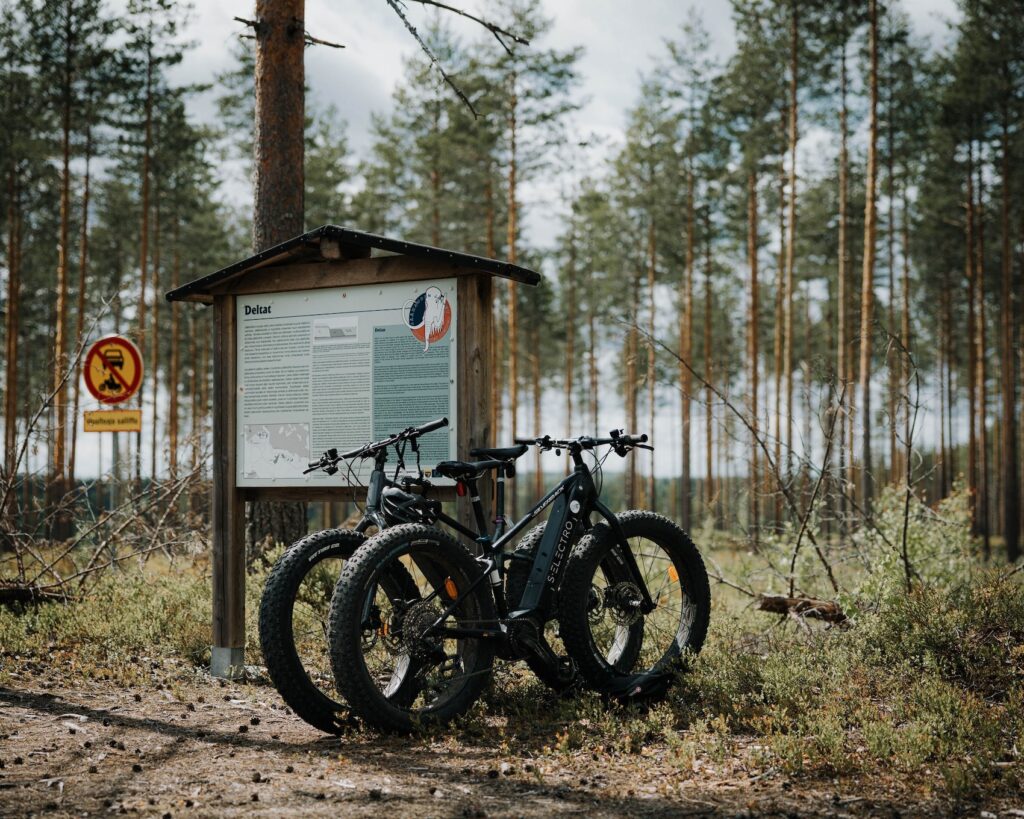 Mountain biking in Lake Saimaa region 