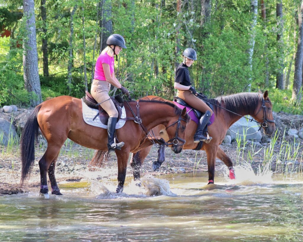 Slow Travel Horse Holidays at Lake Saimaa