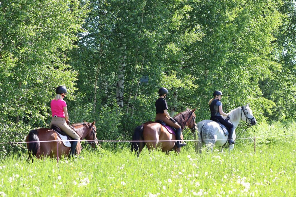Slow-Travel-Reitretreats am Saimaa-See
