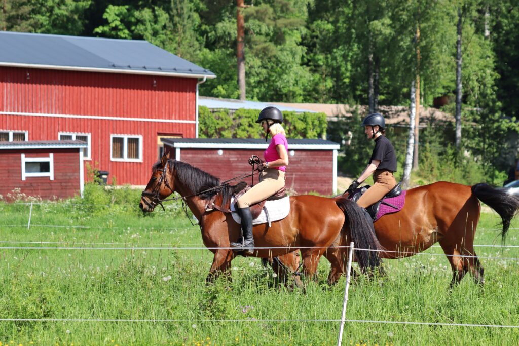 2-tägiges Luontopolku – Back to Your Senses® Nature Retreat in Finnland